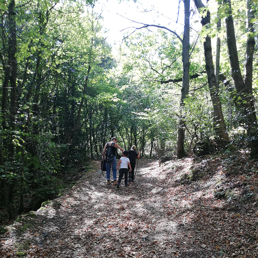 Cécile et ses enfants dans les bois